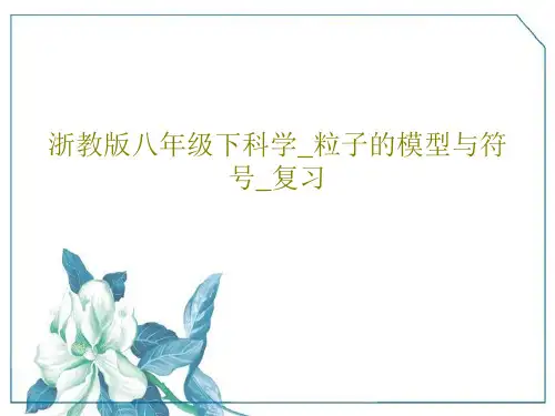 浙教版八年级下科学_粒子的模型与符号_复习共90页