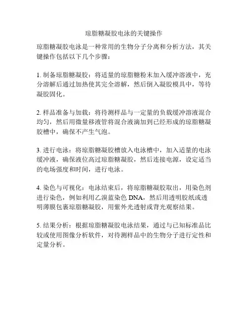 琼脂糖凝胶电泳的关键操作