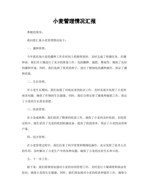 小麦管理情况汇报