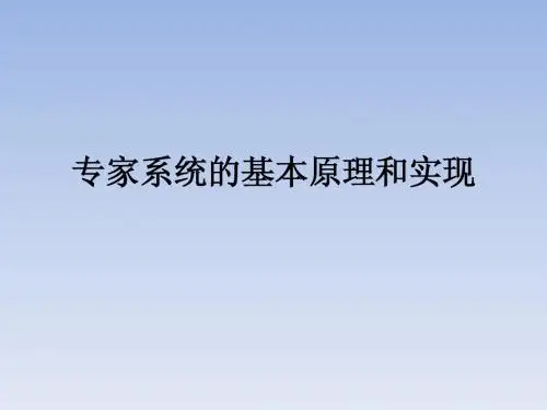 专家系统