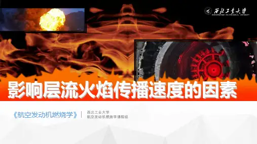 5.2 影响层流火焰传播速度的因素 课件