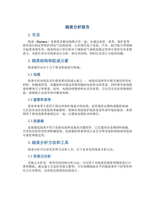 线束分析报告