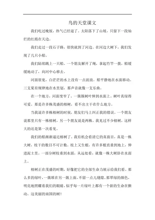 鸟的天堂课文