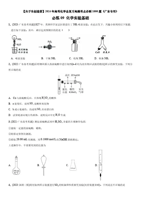 2024年广东省高考化学总复习高频考点必刷题09 化学实验基础含详解
