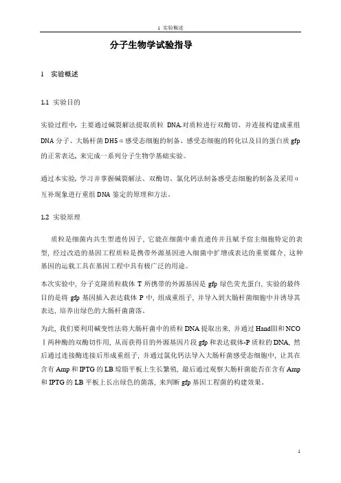 分子生物学实验_2
