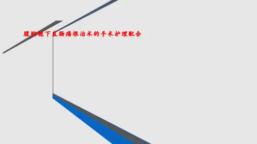 腹腔镜下直肠癌根治术的手术配合PPT课件
