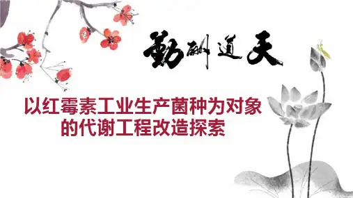 以红霉素工业生产菌种为对象的代谢工程改造探索