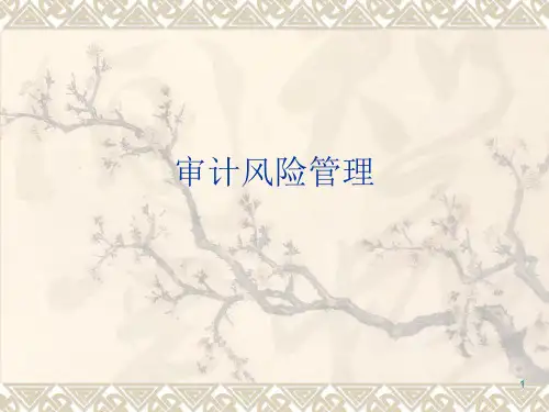 审计风险管理PPT课件