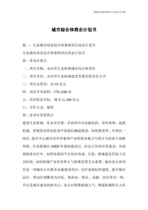 城市综合体商业计划书