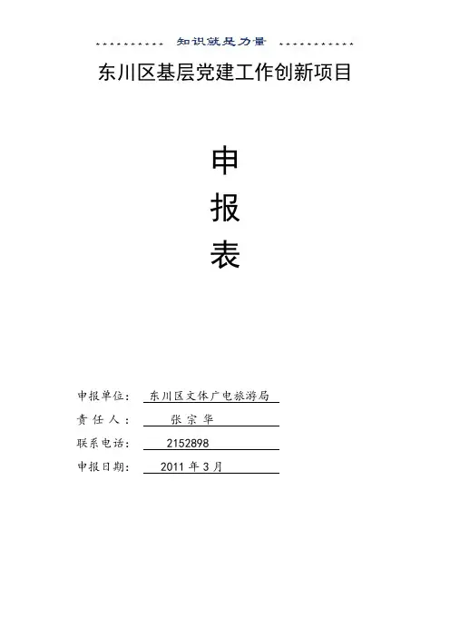 基层党建工作创新项目