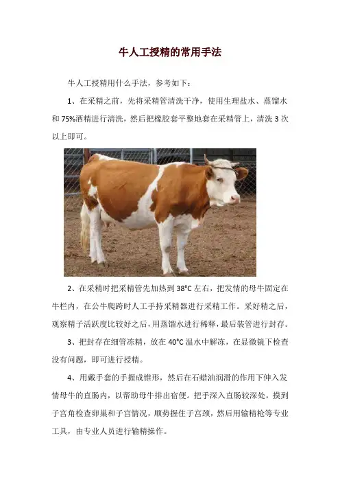 牛人工授精的常用手法