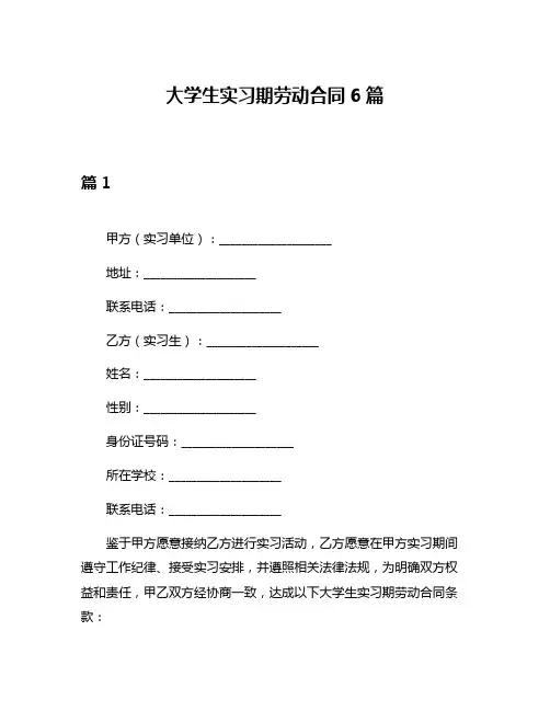 大学生实习期劳动合同6篇