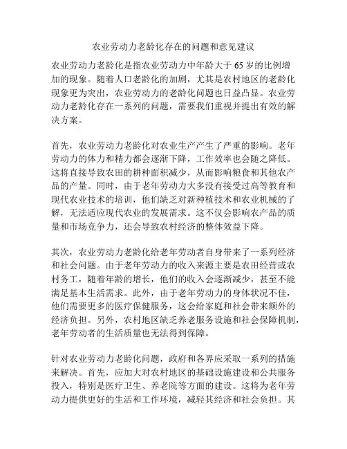 农业劳动力老龄化存在的问题和意见建议
