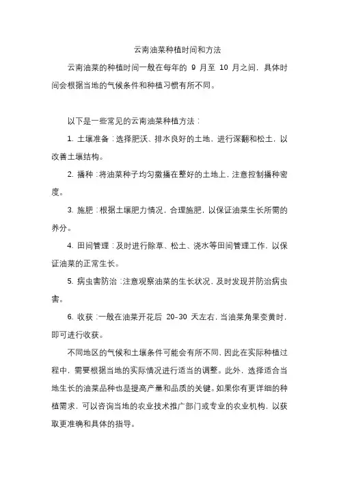 云南油菜种植时间和方法