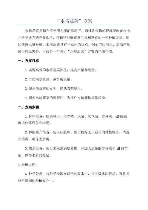 “水培蔬菜”方案