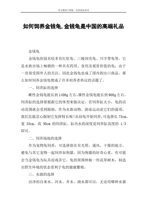 如何饲养金钱龟,金钱龟是中国的高端礼品