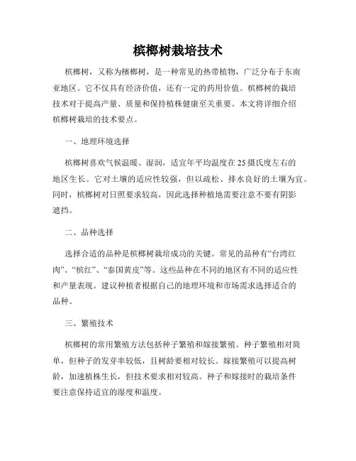 槟榔树栽培技术