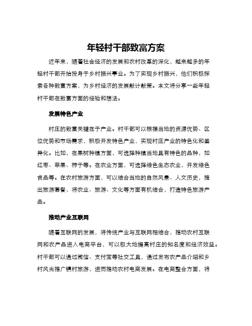 年轻村干部致富方案