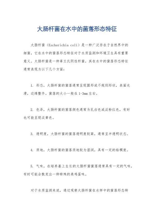 大肠杆菌在水中的菌落形态特征