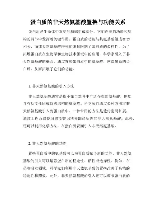 蛋白质的非天然氨基酸置换与功能关系