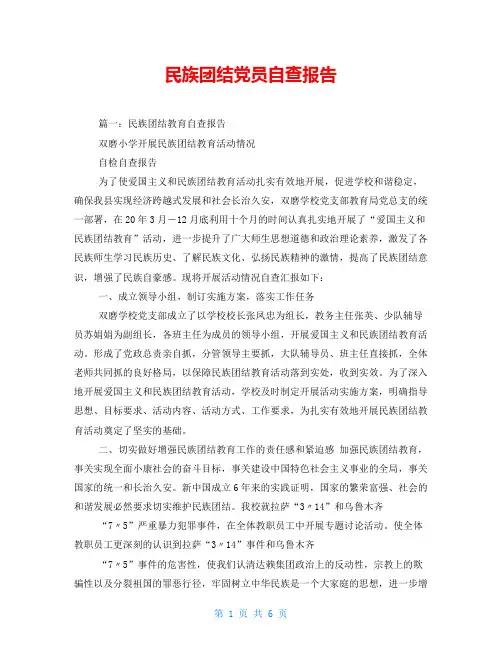 民族团结党员自查报告