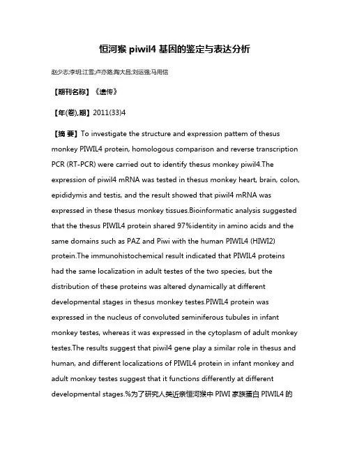恒河猴piwil4基因的鉴定与表达分析
