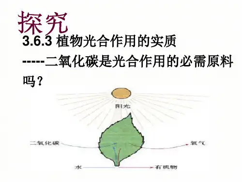 苏教版初中生物七年级上册 植物光合作用的实质说课