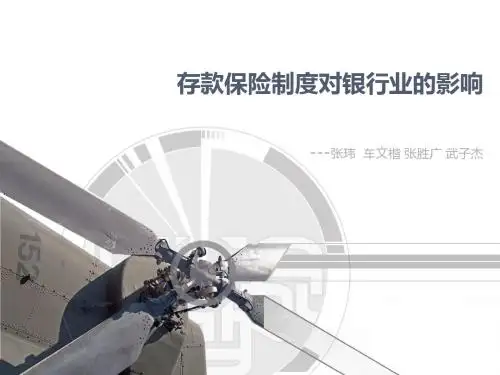 存款保险制度 - 副本(3)