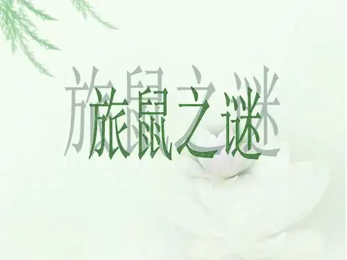 《旅鼠之谜》