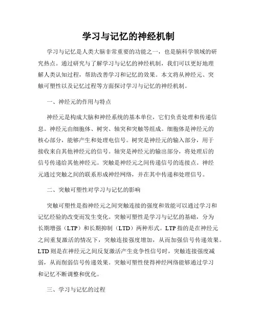 学习与记忆的神经机制