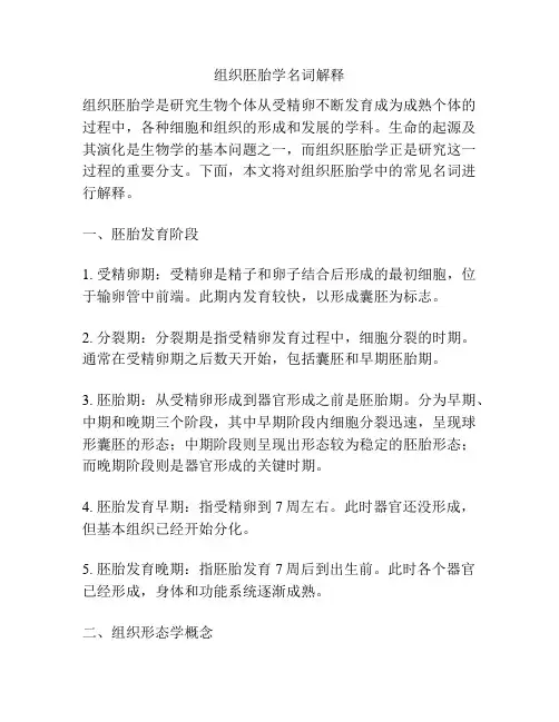 组织胚胎学名词解释