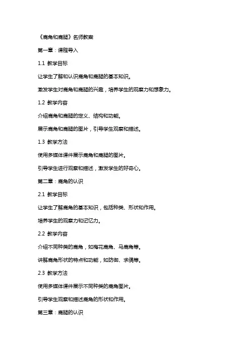 《鹿角和鹿腿》名师教案