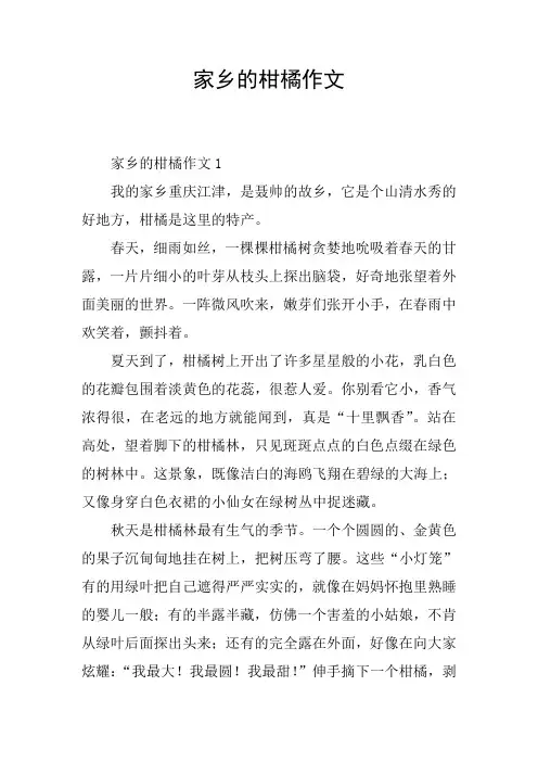 家乡的柑橘作文