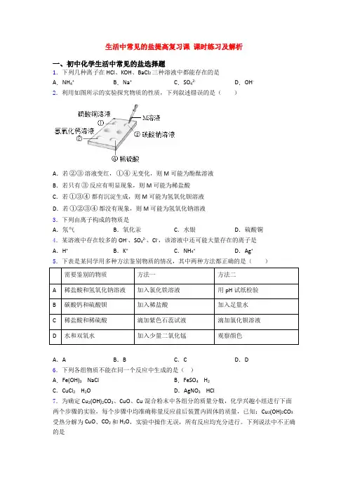 生活中常见的盐提高复习课 课时练习及解析