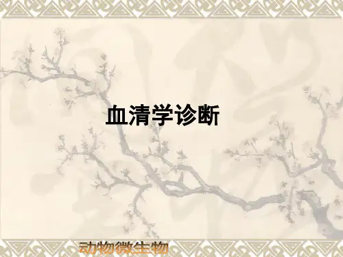 血清学试验