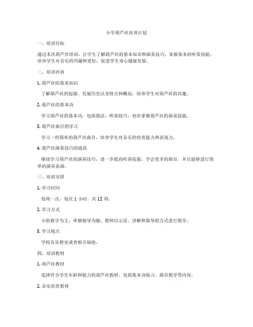 小学葫芦丝培训计划