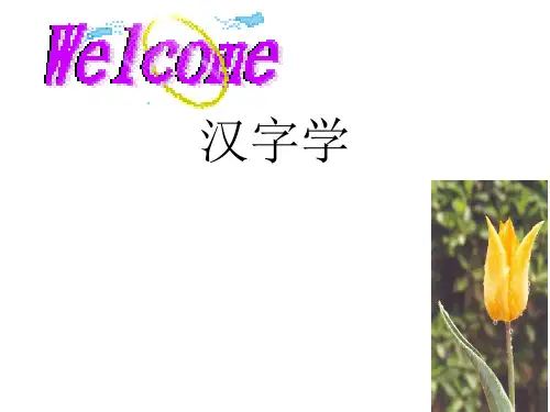 汉字学 第一章 绪论 汉字学 教学课件 PPT