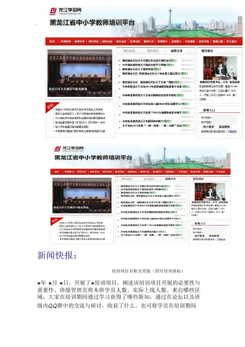 简报模板