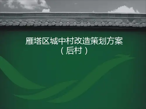雁塔区城中村改造策划方案(后村)