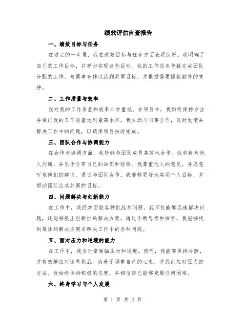 绩效评估自查报告