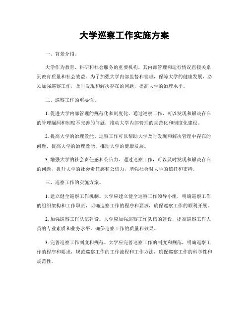 大学巡察工作实施方案