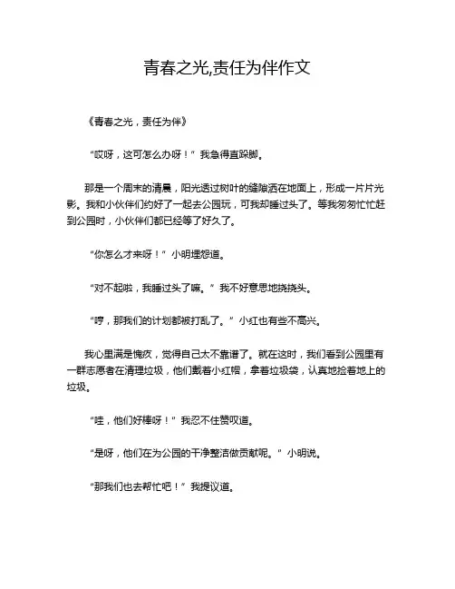 青春之光,责任为伴作文