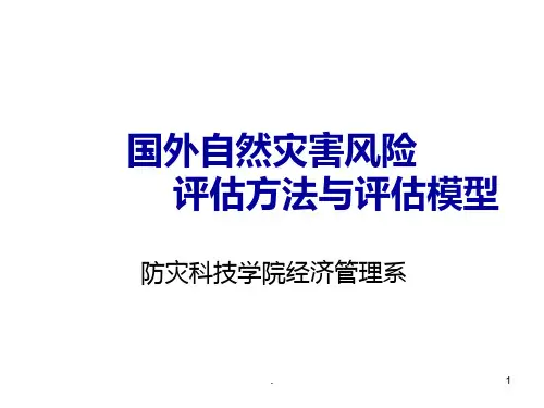 区域自然灾害风险评估原理、内容与流程PPT课件