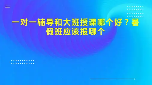 一对一辅导和大班授课哪个好 暑假班应该报哪个