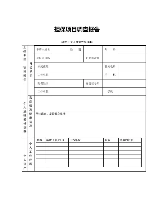 担保项目调查报告(样本)
