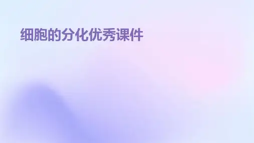 细胞的分化优秀课件