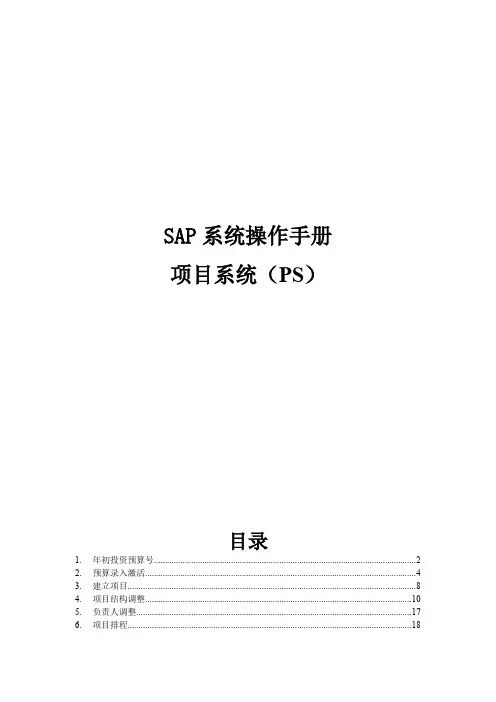 SAPPS操作手册