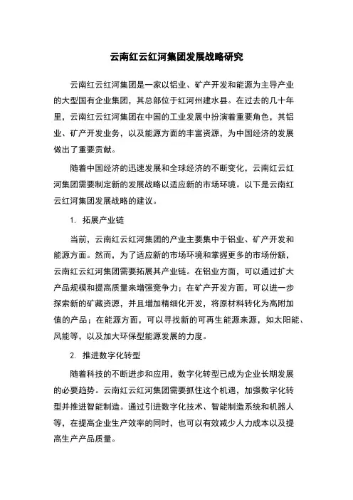 云南红云红河集团发展战略研究