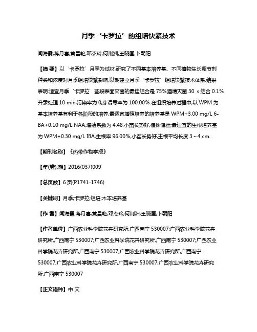月季‘卡罗拉’的组培快繁技术