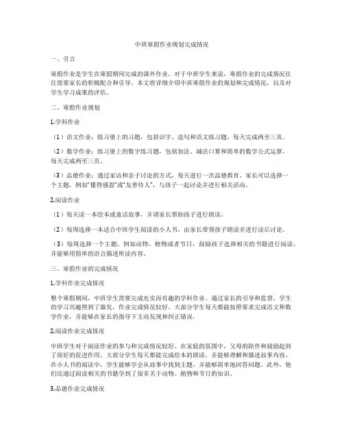 中班寒假作业规划完成情况